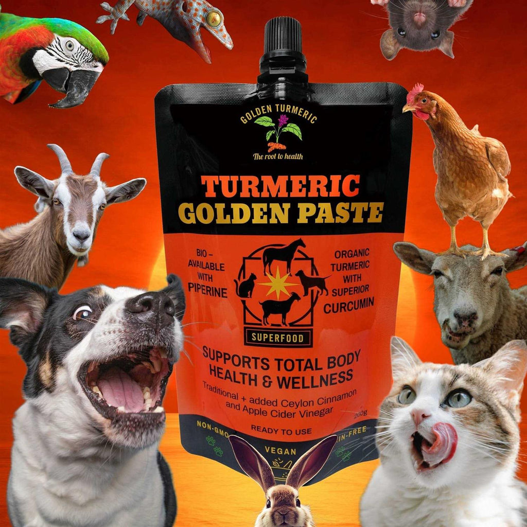 Turmeric Golden Paste for Pets 7 OZ V2463
