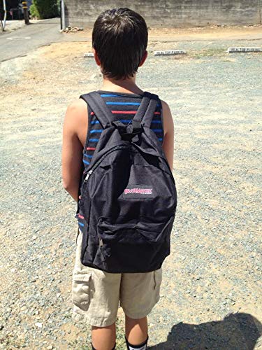 17 Inch Backpack with Adjustable Padded Shoulder Straps T325