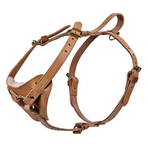 Leather Tracking Harness X701644