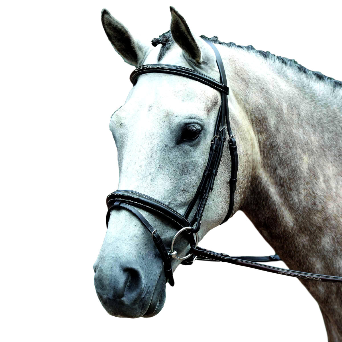 Padded Raised Fancy Stitched Flash Bridle - Warmblood / Brown U521