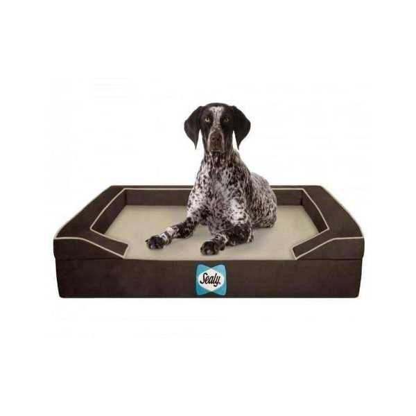 Orthopedic Memory Foam Dog Bed K756768