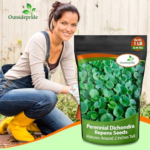 Dichondra Repens Ground Cover Seeds 1 lb L90873