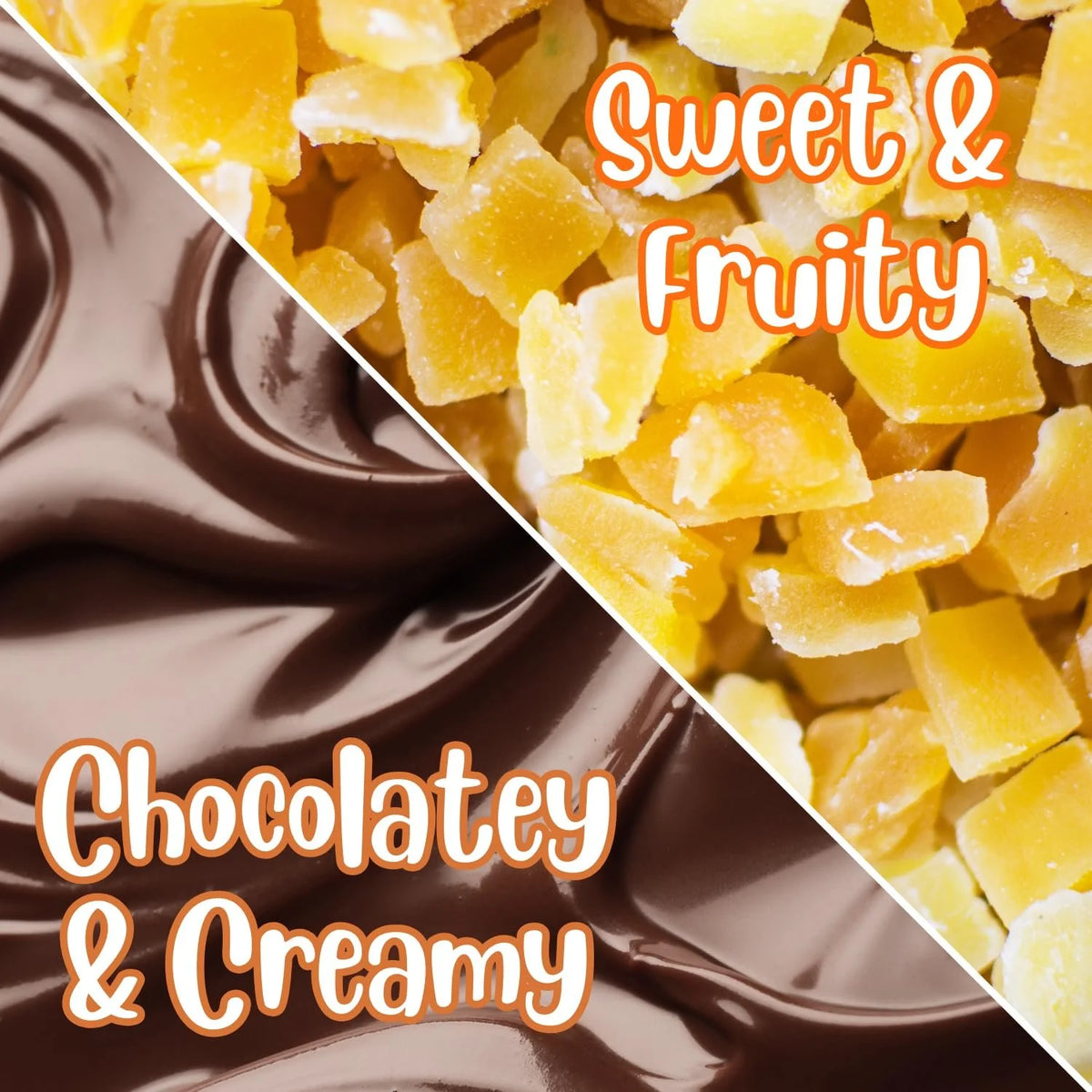 Dark Chocolate Covered Dried Mango 10 Lbs Bulk Bag Vegan Non-Dairy Kosher R9741