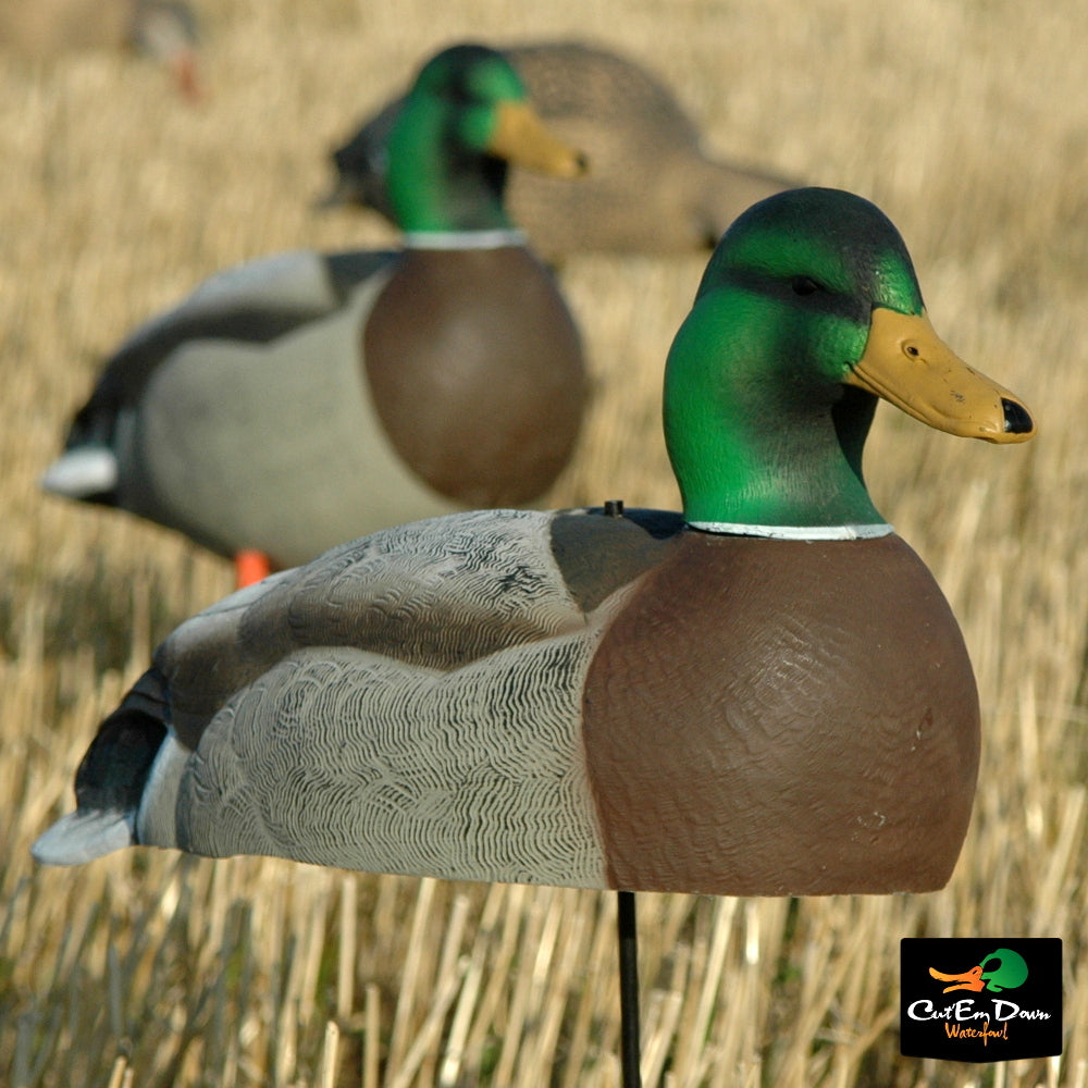 Dozen Mallard Duck Decoy Shells I112