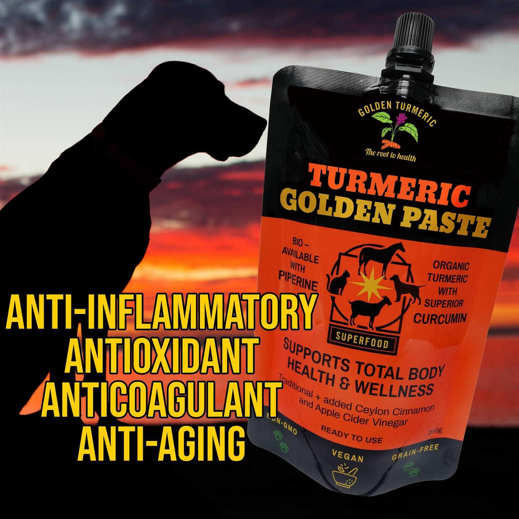 Turmeric Golden Paste for Pets 7 OZ V2463