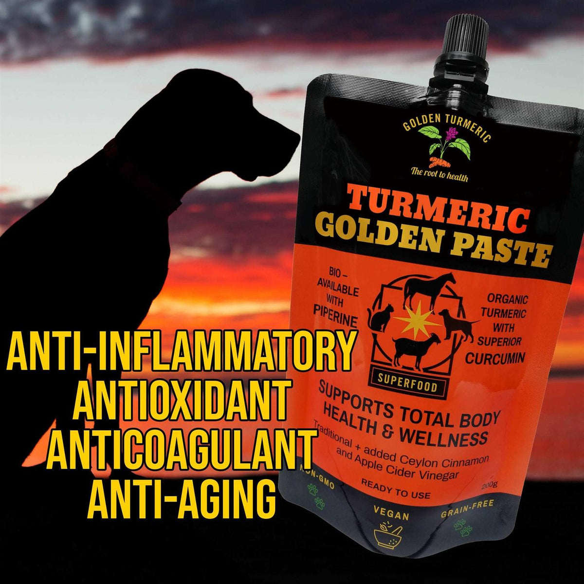 Turmeric Golden Paste for Pets 7 OZ V2463