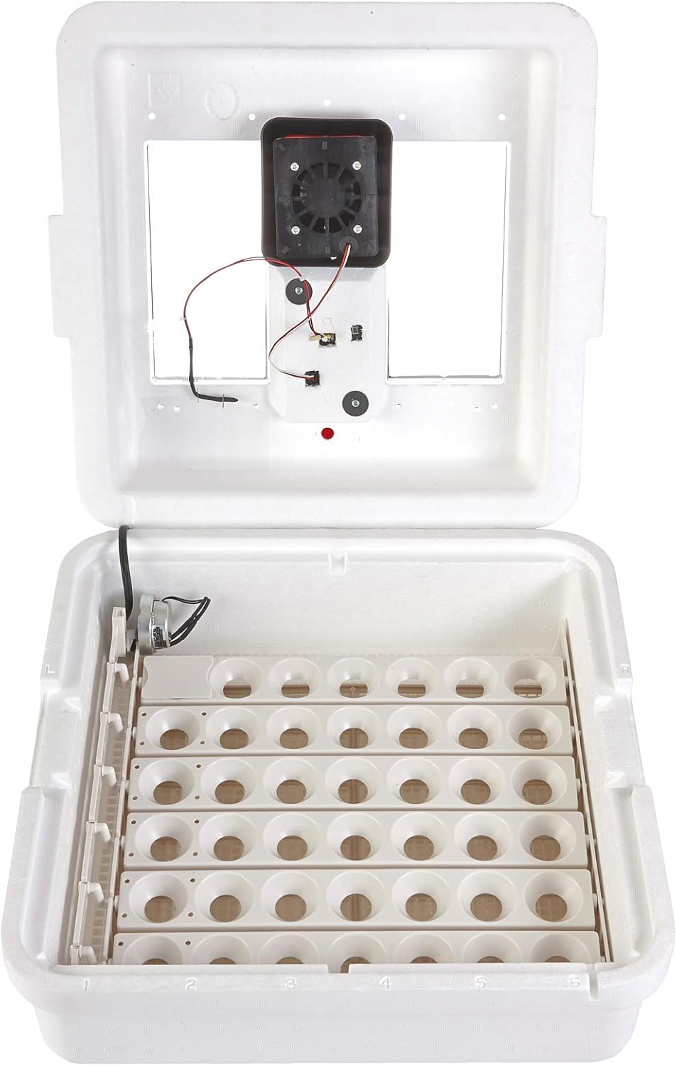 41 Egg Incubator with Temperature and Humidity Control D11616