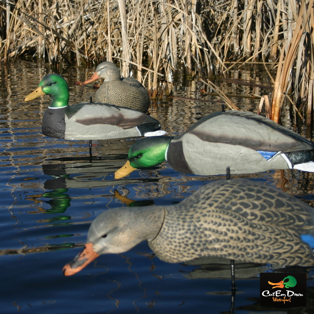 Dozen Mallard Duck Decoy Shells I112
