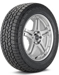 275/55R20 113T Tire G813
