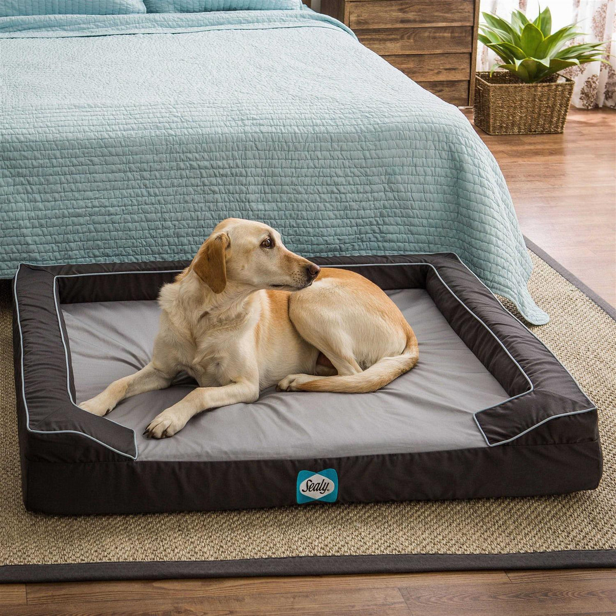 Orthopedic Memory Foam Dog Bed K756768