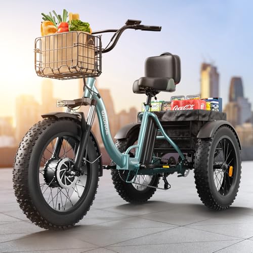 Electric Trike 20" Fat Tire 3 Wheel Folding Electric Tricycle H988