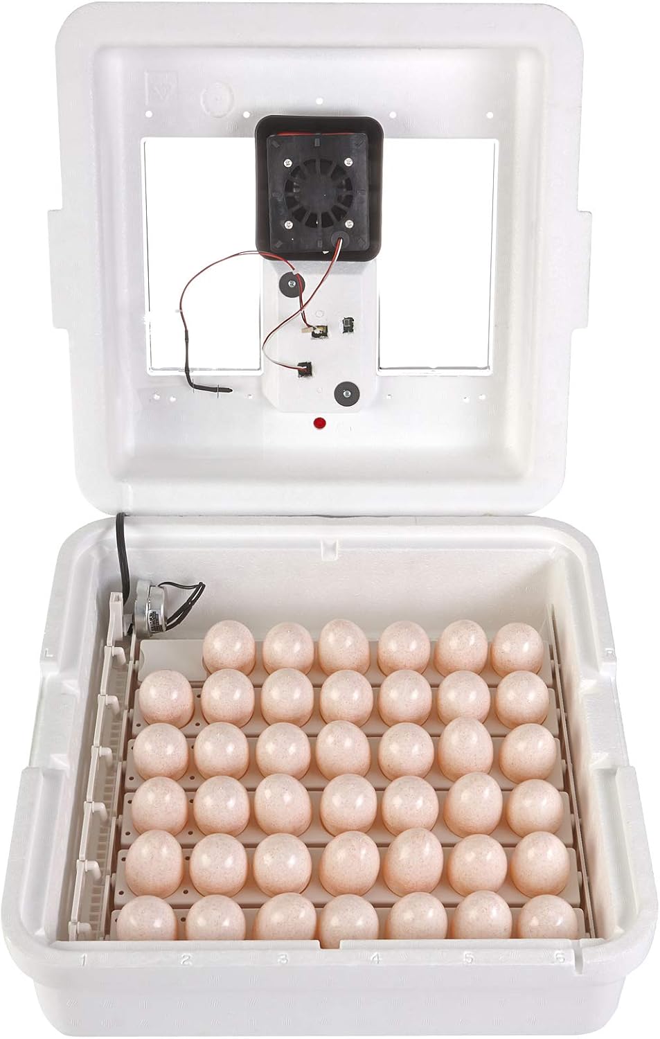 41 Egg Incubator with Temperature and Humidity Control D11616