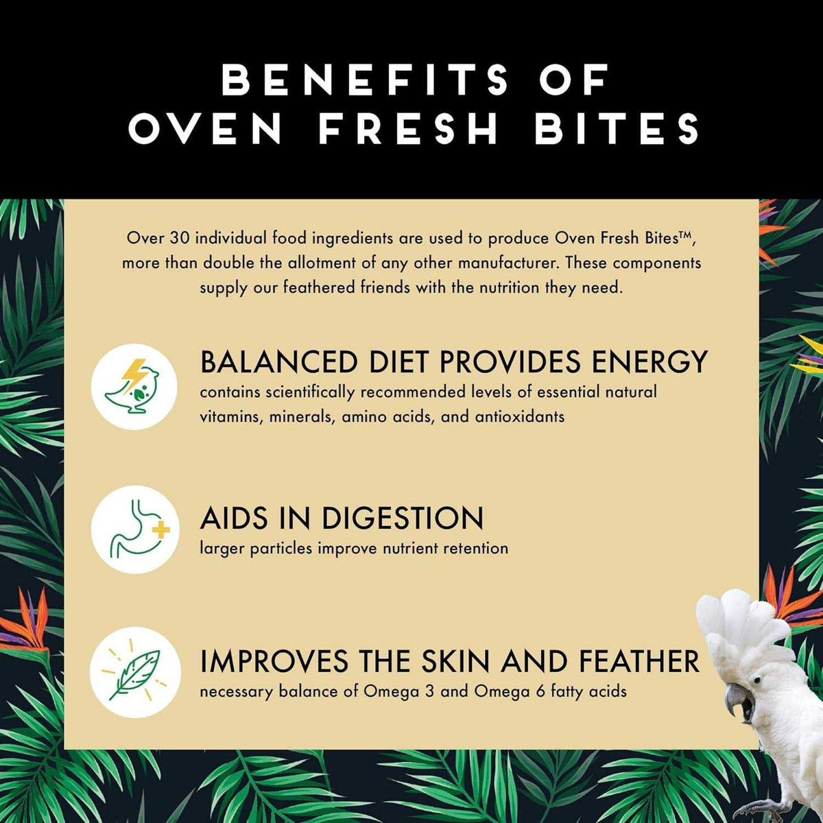Large Oven Fresh Bites E181622