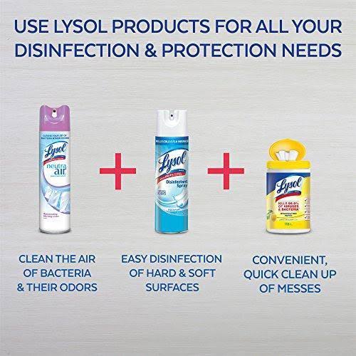 Fresh Sanitizing Spray, 10 oz D117