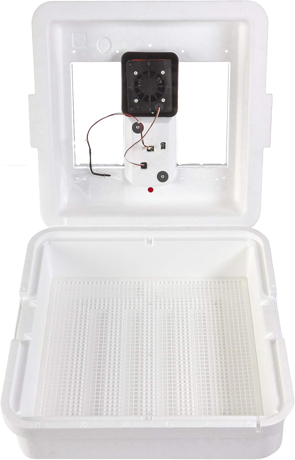 41 Egg Incubator with Temperature and Humidity Control D11616