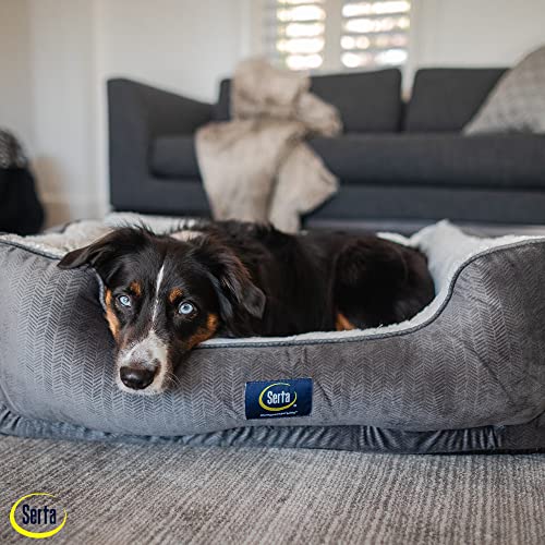 Slate Gray X-Large Orthopedic Dog Bed Y69684