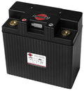 LFX Lithium Battery X3877
