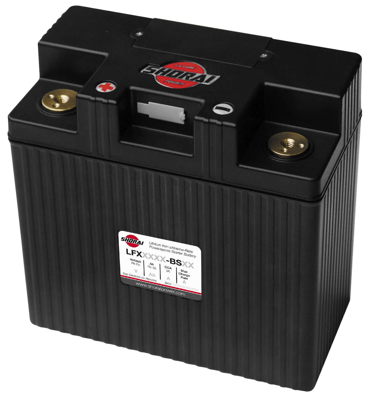 LFX Lithium Battery X3877