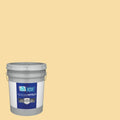 Semi-Gloss Exterior Paint (5-Gallon) W19851