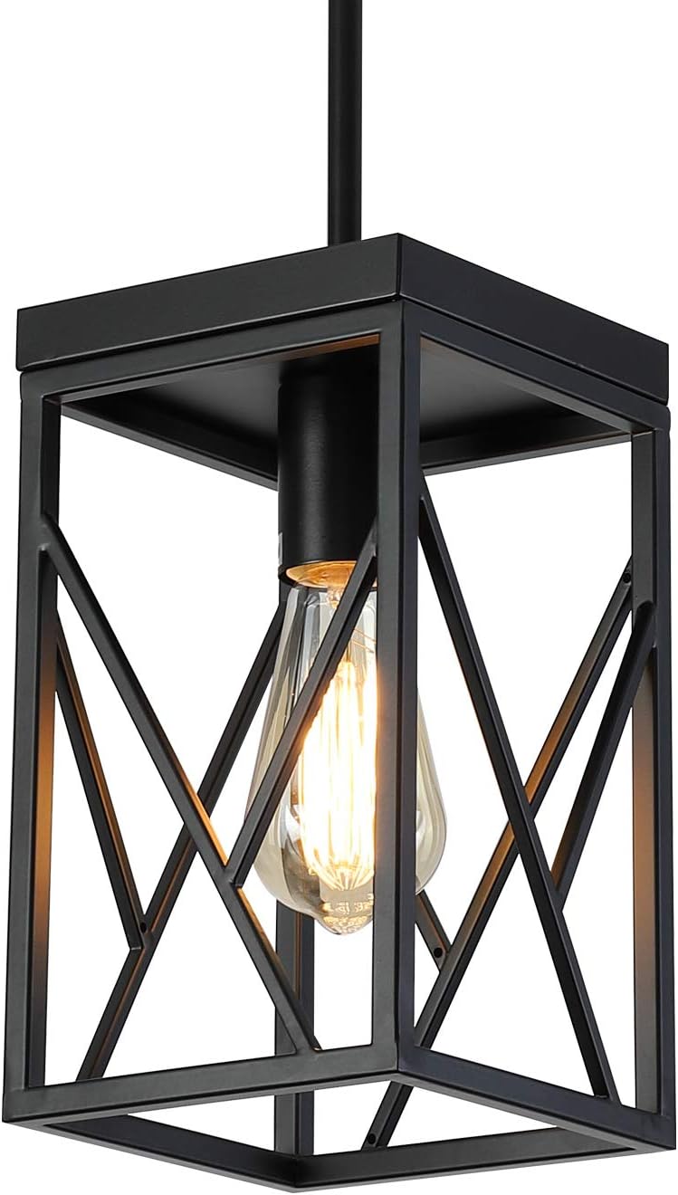 Black Metal Cage Pendant Light L3703