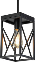 Black Metal Cage Pendant Light L3703