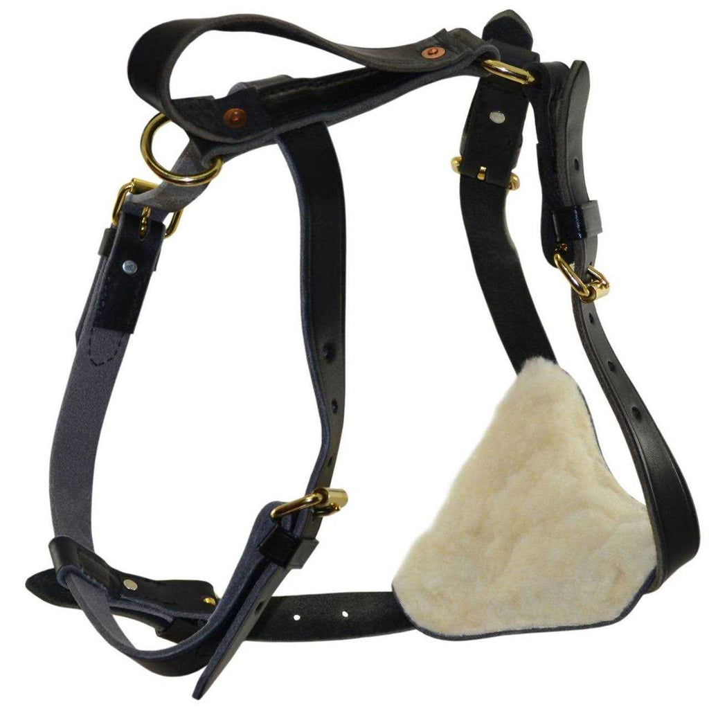 Leather Tracking Harness X701644