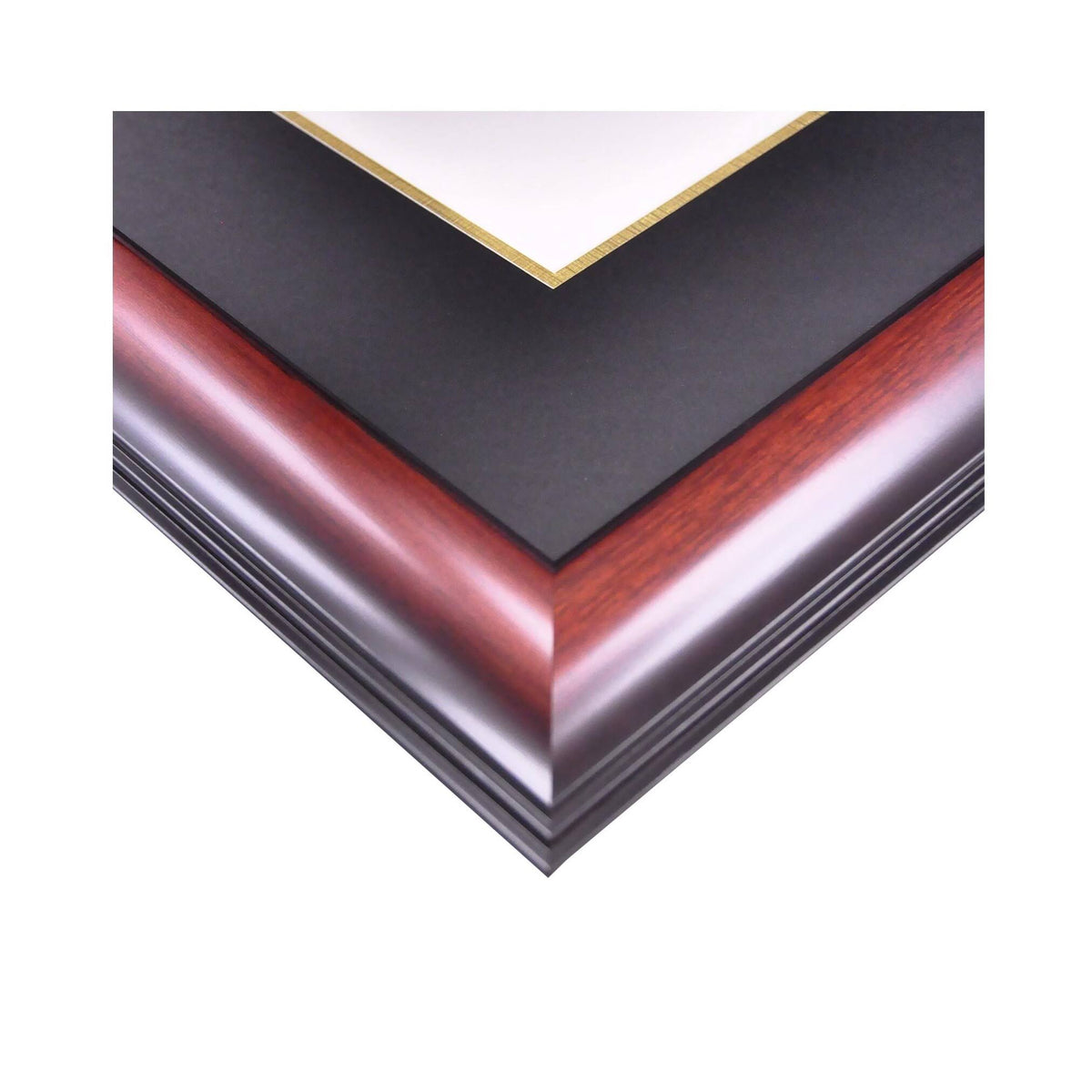 Gold Embossed Diploma Frame with Campus Images Lithograph O669484