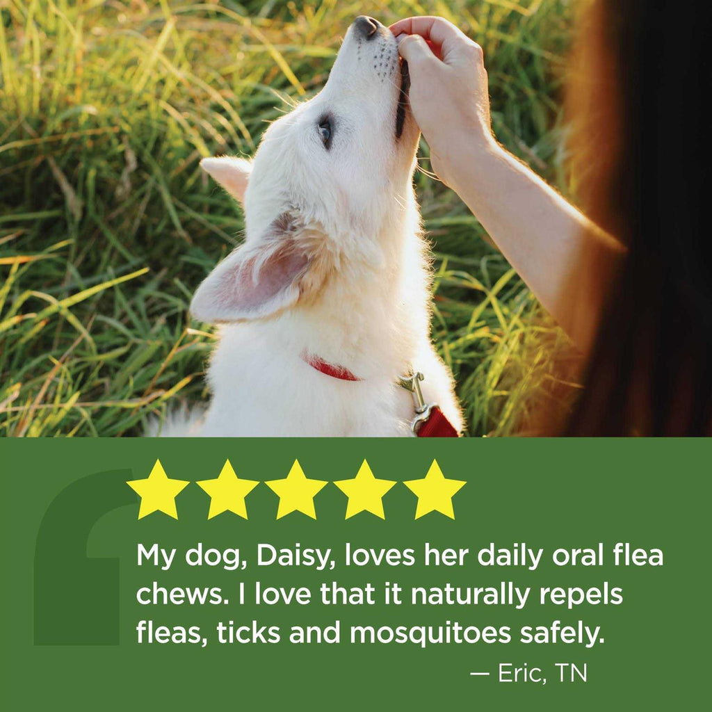 Oral Flea & Tick Chews for Dogs W556
