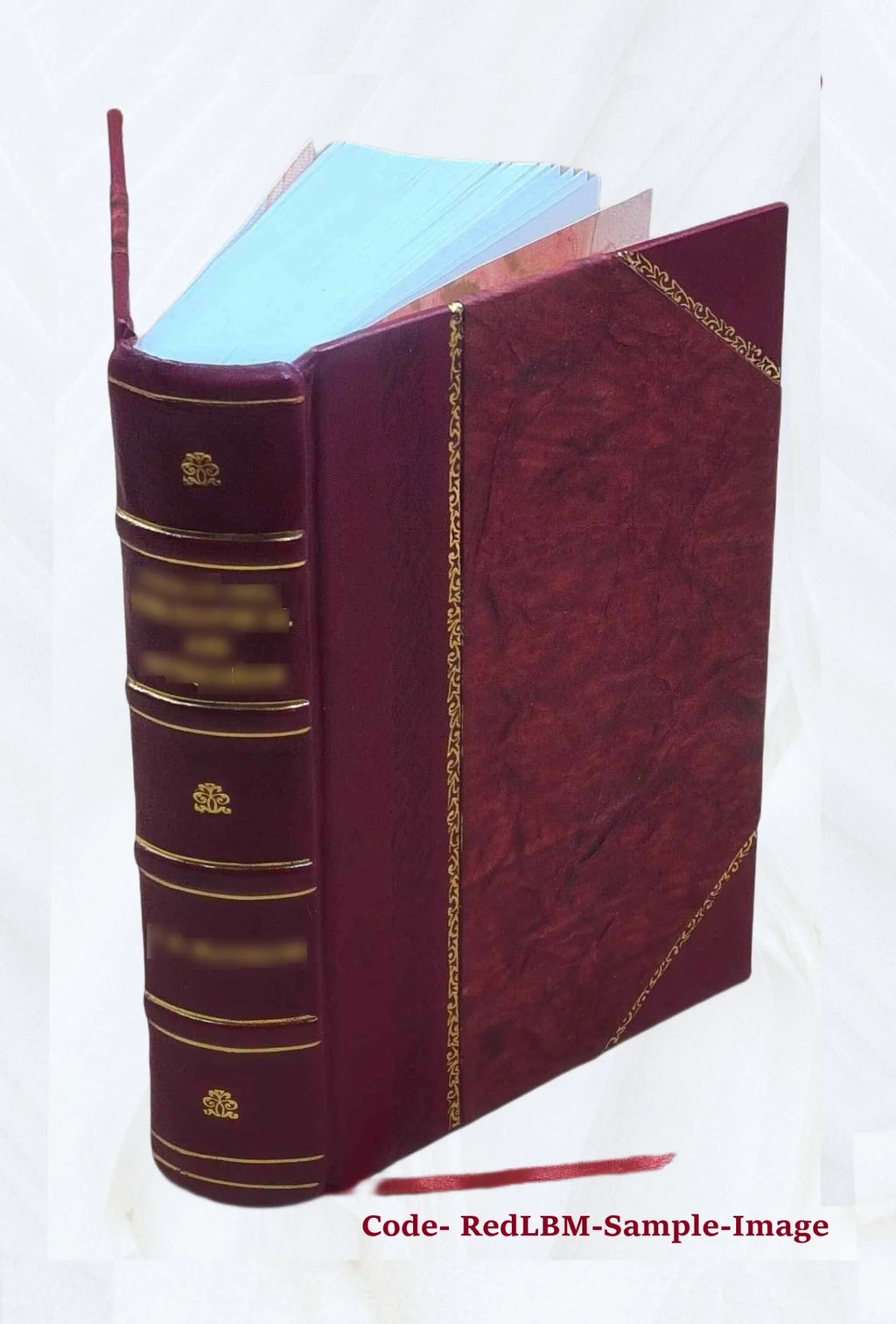 Leather Bound Book G81726