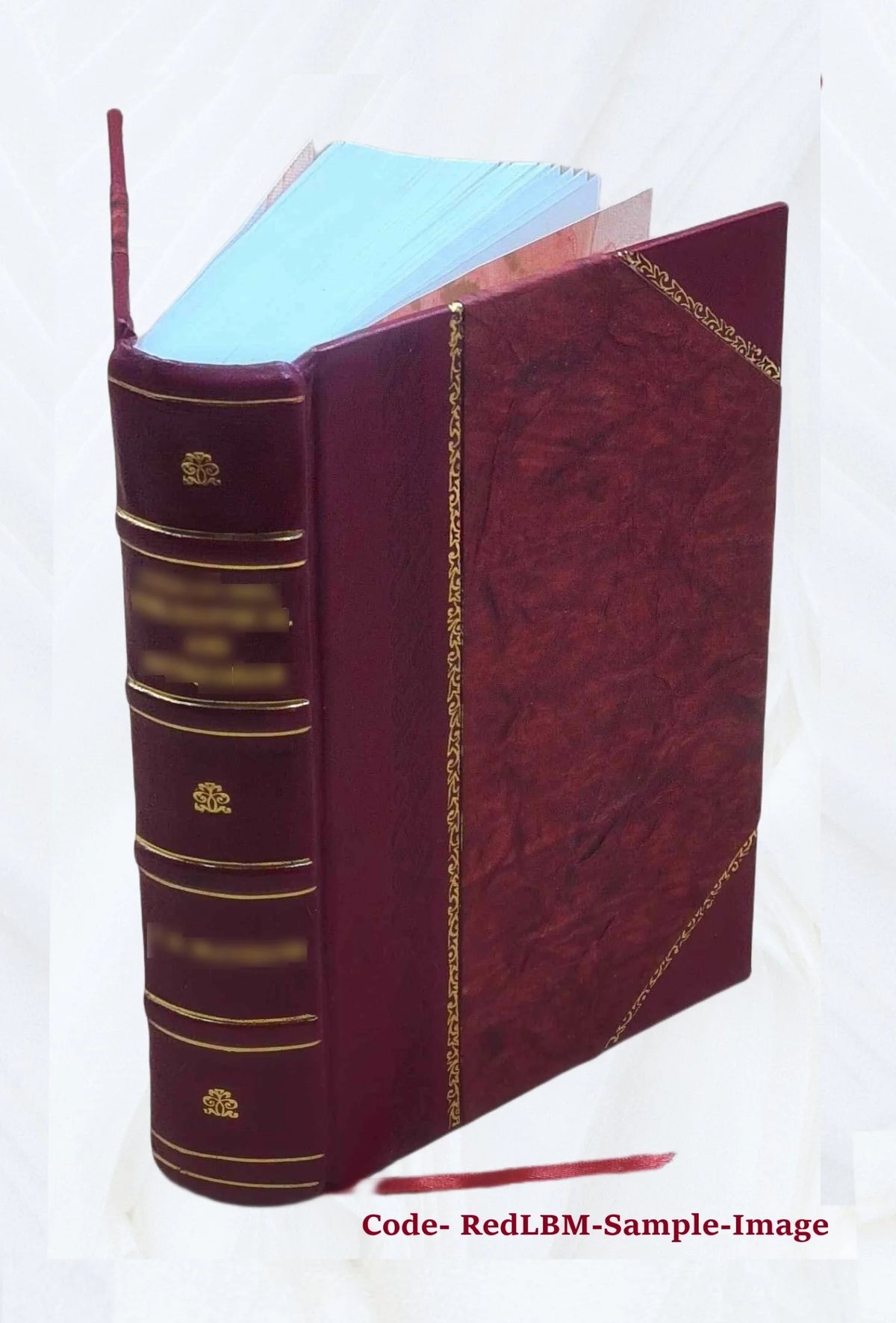 Leather Bound Book G81726