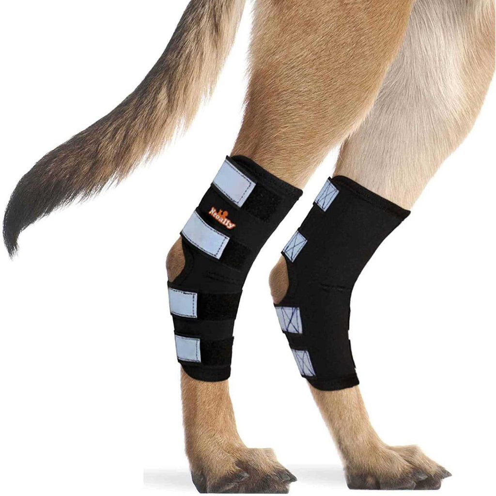 Dog Hind Leg Brace with Reflective Straps J626