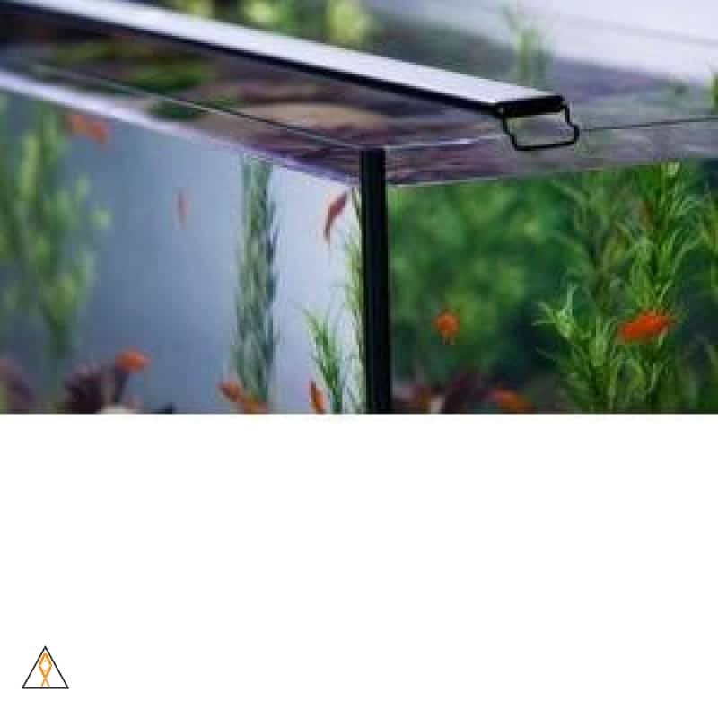 Satellite Plus Pro LED Light O580213