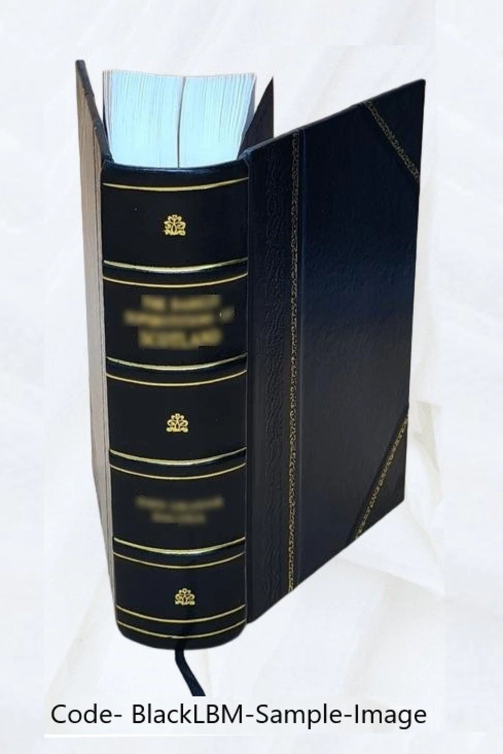 Leather Bound Book G81726