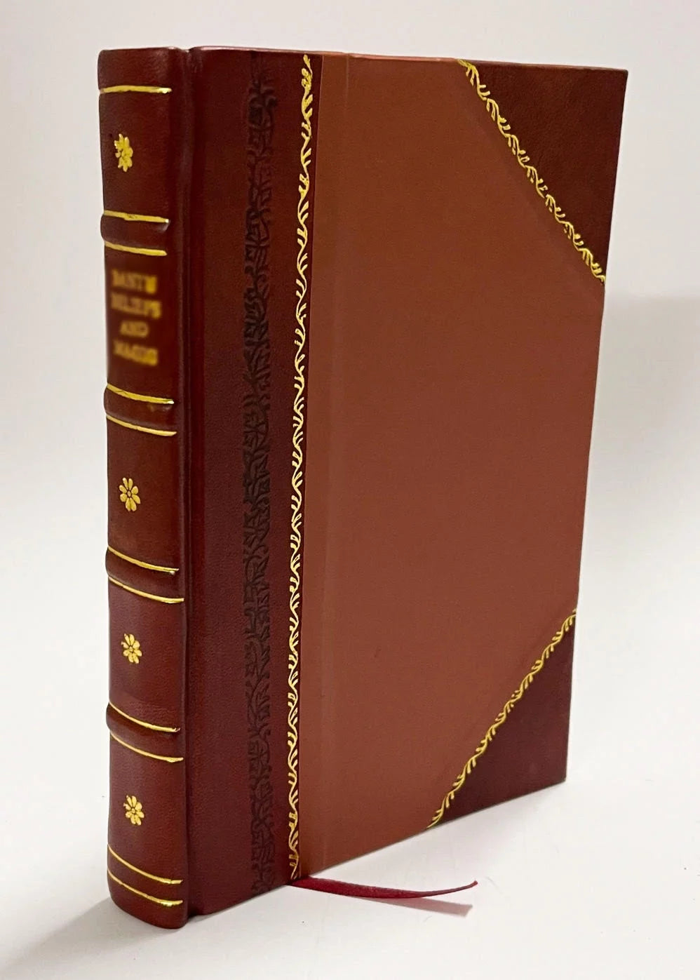 Medical Authority and Prevailing Misconceptions about Sex Leather Bound L4298