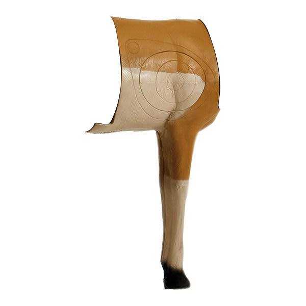 African Impala Midsection V34891