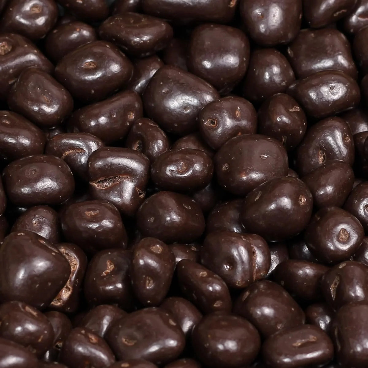 Dark Chocolate Covered Dried Mango 10 Lbs Bulk Bag Vegan Non-Dairy Kosher R9741