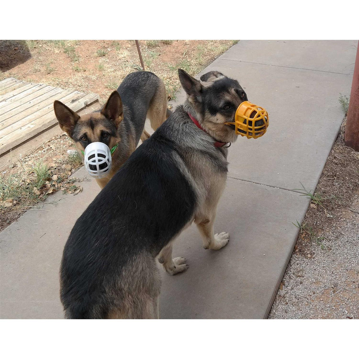 Plastic Dog Muzzle with Adjustable Headstall F7859