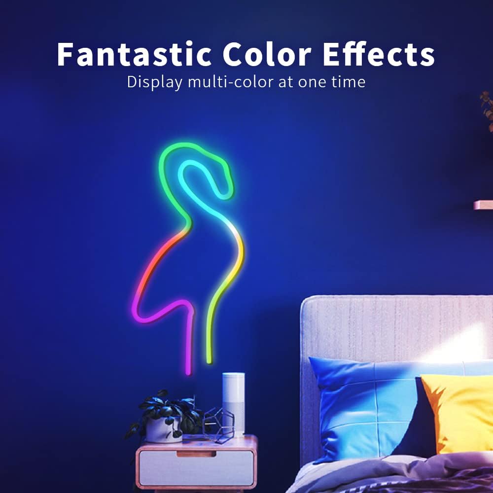 10FT LED Neon Rope Lights, 16 Million Colors, Pack of 2 F245249