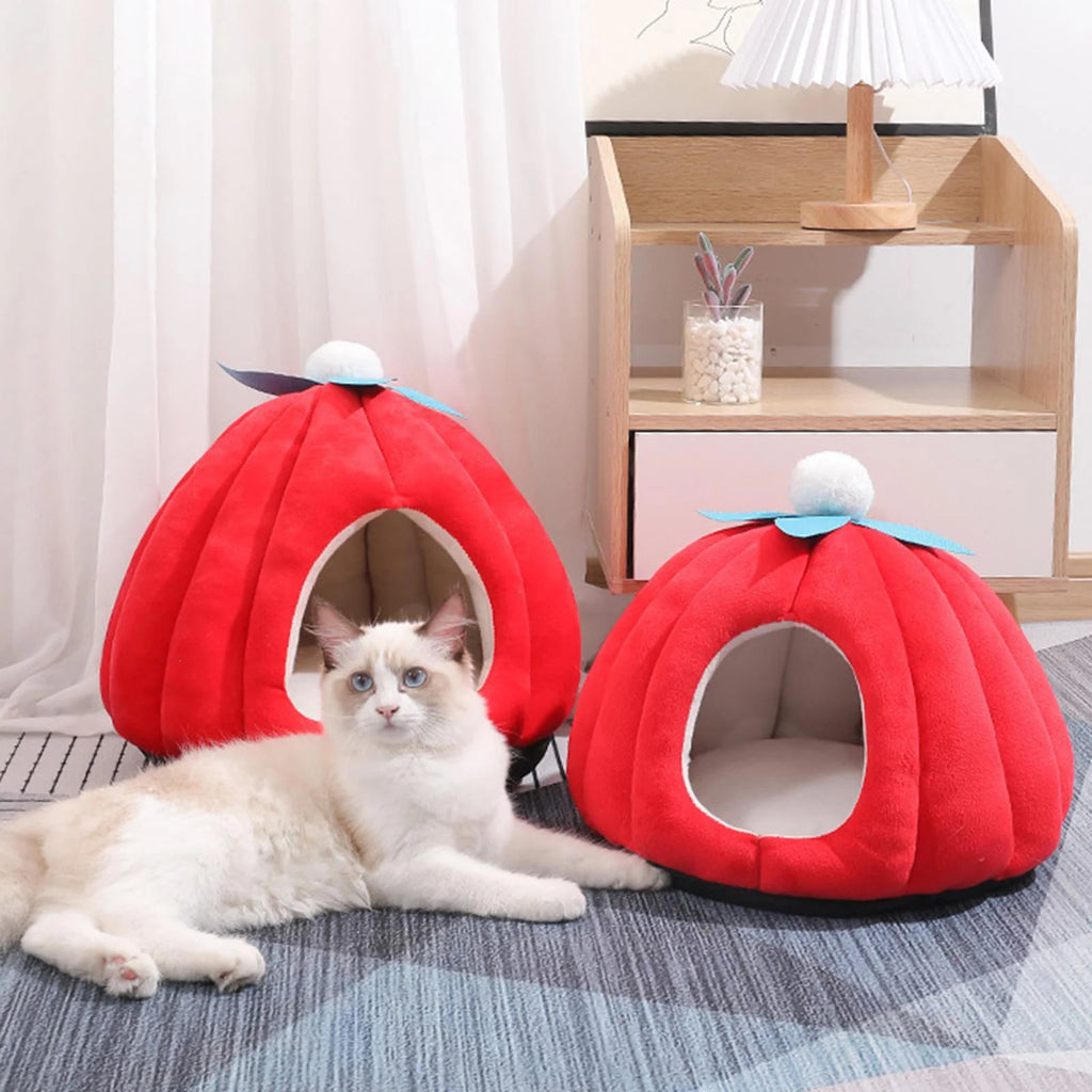 Cat Bed Igloo Pet Bed Cat House Hut Kitten Bed Hideaway Small Dog Tent Bed T948