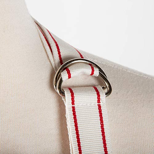 Cotton Apron and Dishtowel Set, 3 Count D682