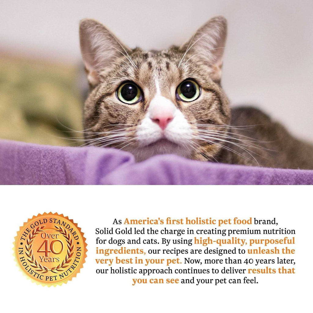 Dry Cat Food D271003
