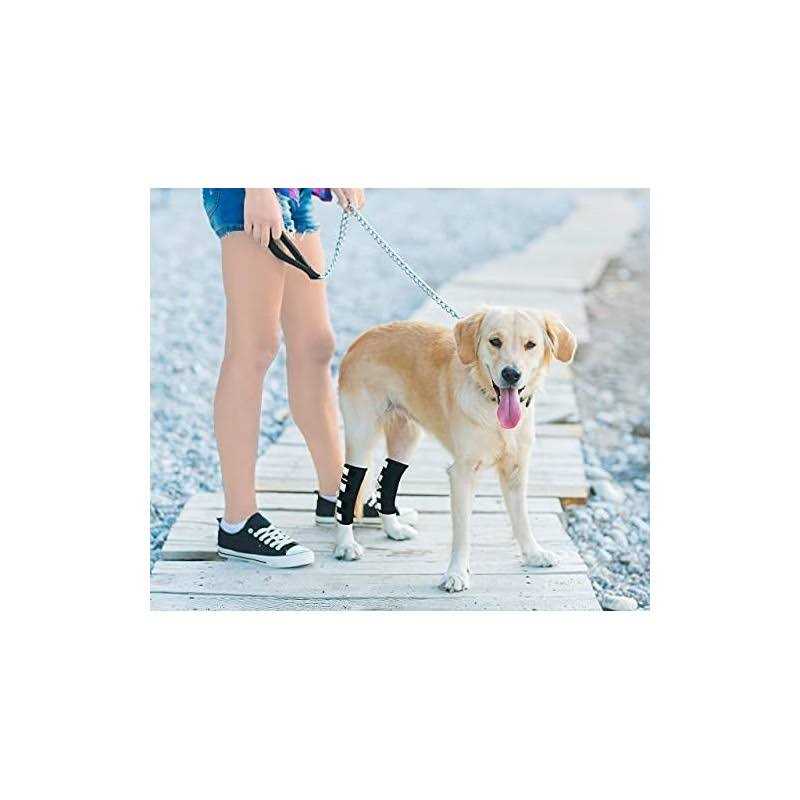 Dog Hind Leg Brace with Reflective Straps J626