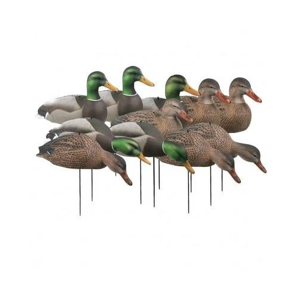 Dozen Mallard Duck Decoy Shells I112
