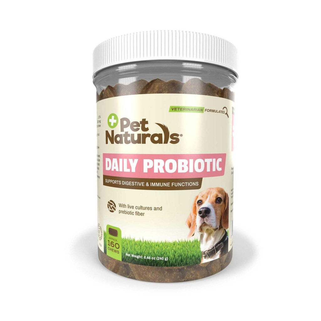 Daily Probiotic for Dogs V29029