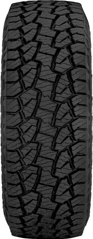 275/55R20 113T Tire G813