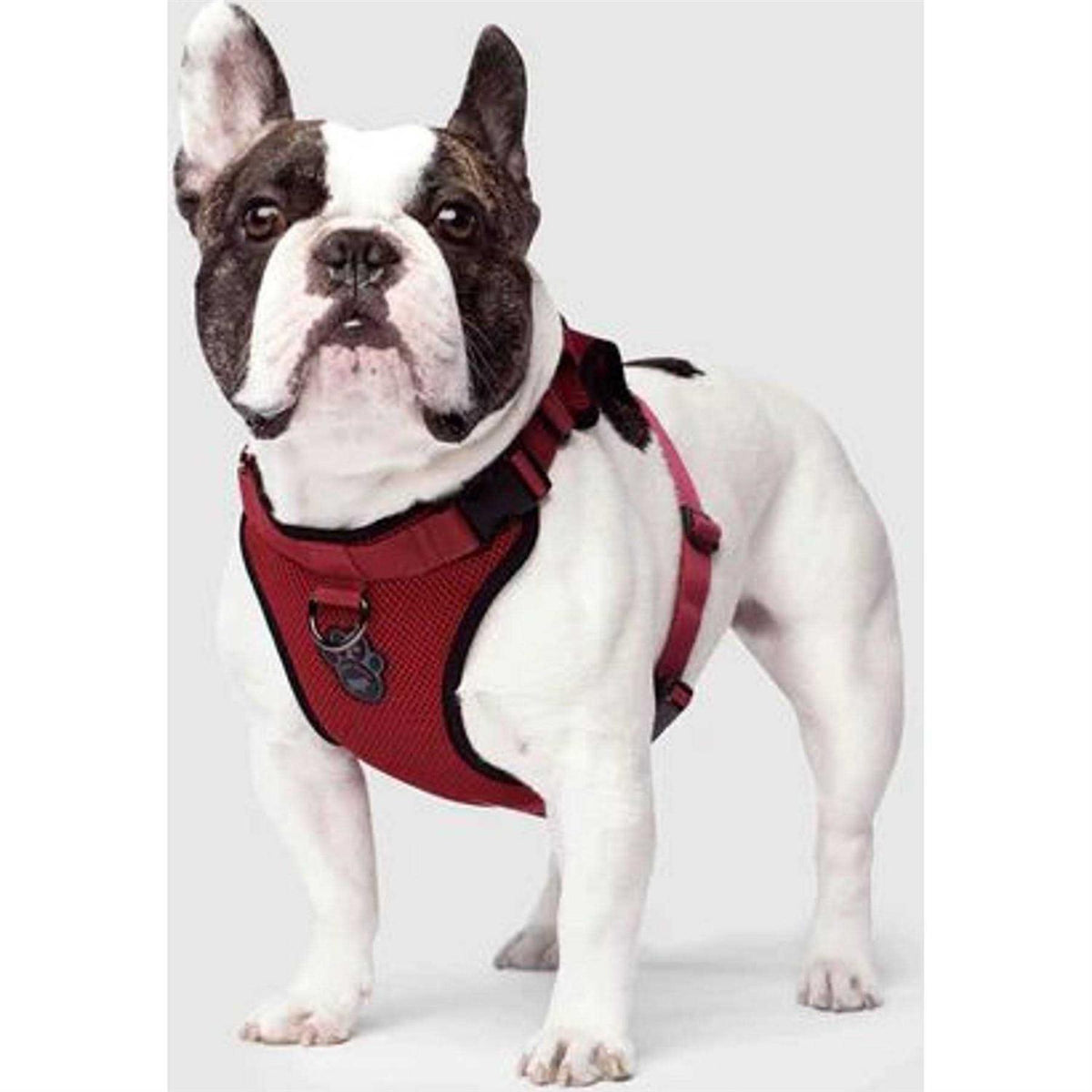 Dog Harness P7745
