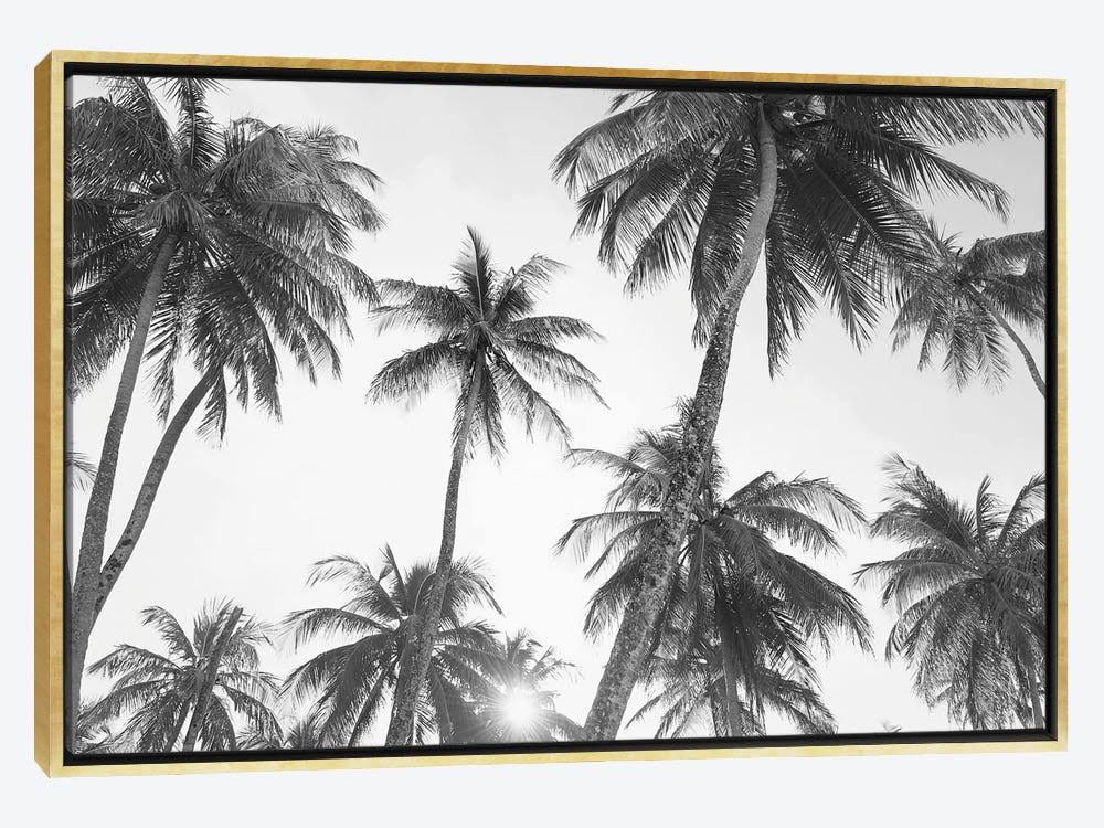 Gold Framed Canvas Photograph Print S638