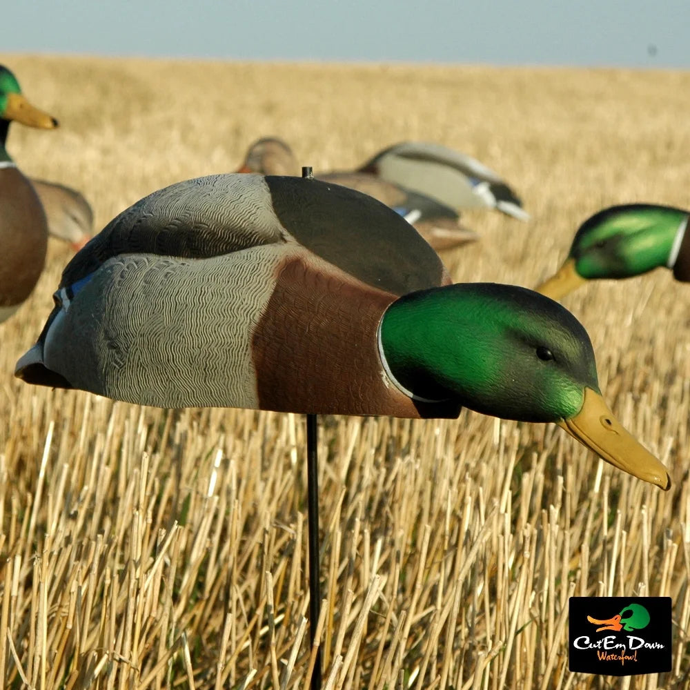 Dozen Mallard Duck Decoy Shells I112
