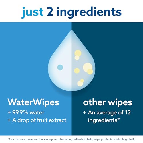 Plastic-Free Unscented Baby Wipes, 60 Count (Pack of 12) F364