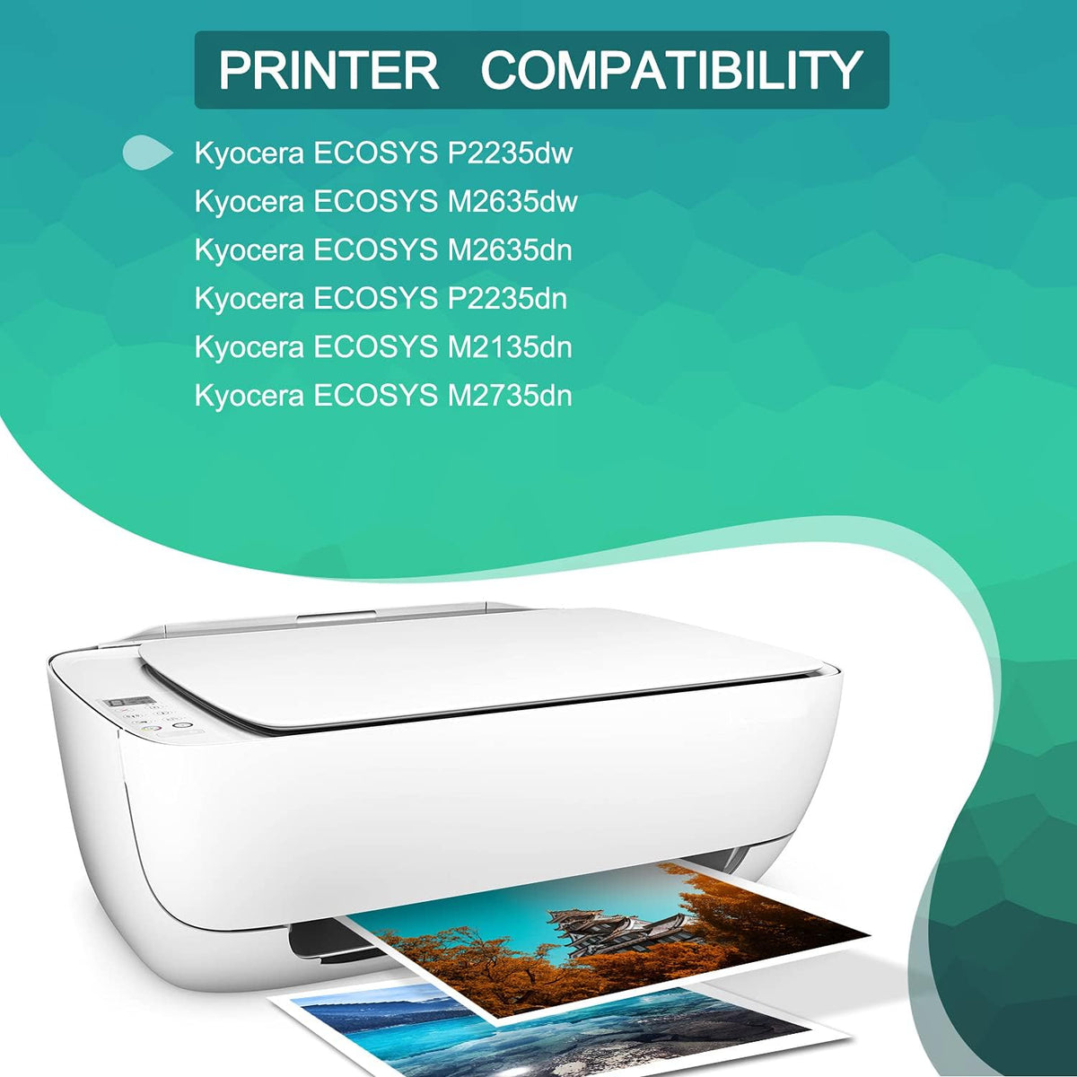 2-Pack Black Toner Cartridge C5539